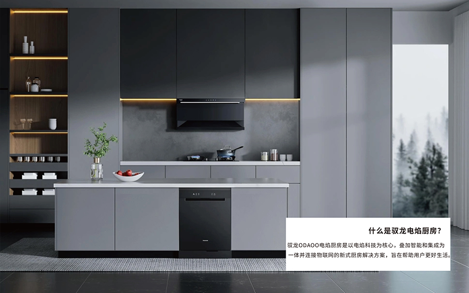 驭龙电焰灶品牌历史