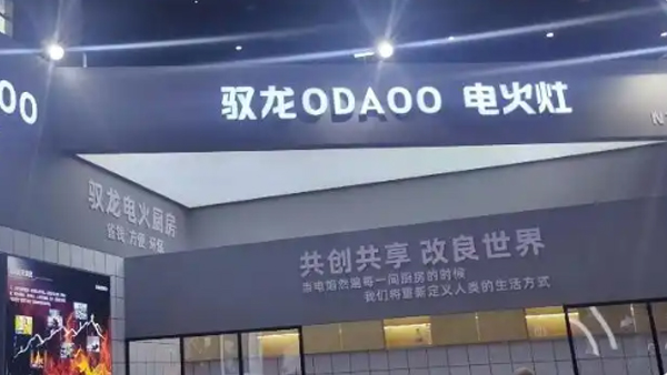 安全低碳高效方便——四川省副省长左永祥西博会点赞驭龙电火灶